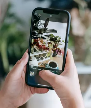 Google Lens: visual search for plant geeks!
