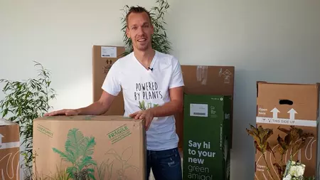 Unboxing video: how 6 retailers ship plants!