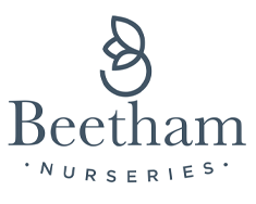 Beetham Nurseries