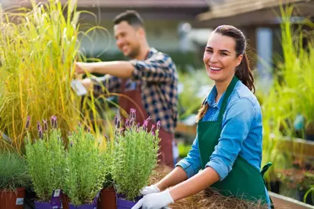 6 redenen waarom Local SEO Marketing voor jouw tuincentrum belangrijk is