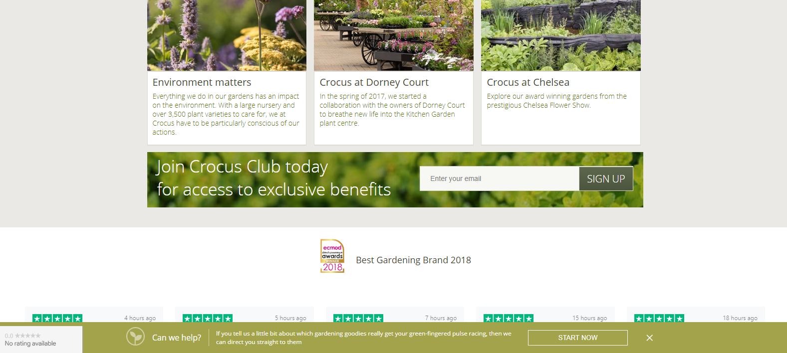 Garden Centre E-mail marketing newsletters