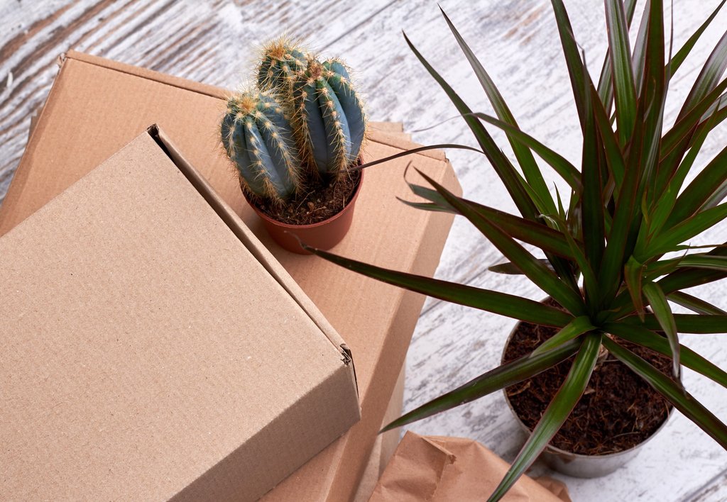 Update: 4 tips on selling plants online